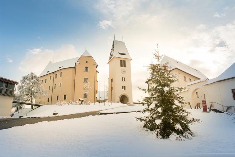 Hotel Schloss Seggau à Leibnitz Extérieur photo