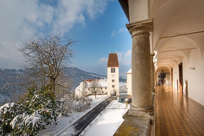 Hotel Schloss Seggau à Leibnitz Extérieur photo